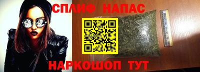 PSILOCYBIN Кунгур