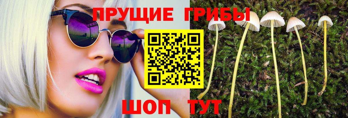 Канаш  Псилоцибиновые грибы Psilocybe  Вход с VPN  Псилоцибиновые грибы Magic Shrooms 